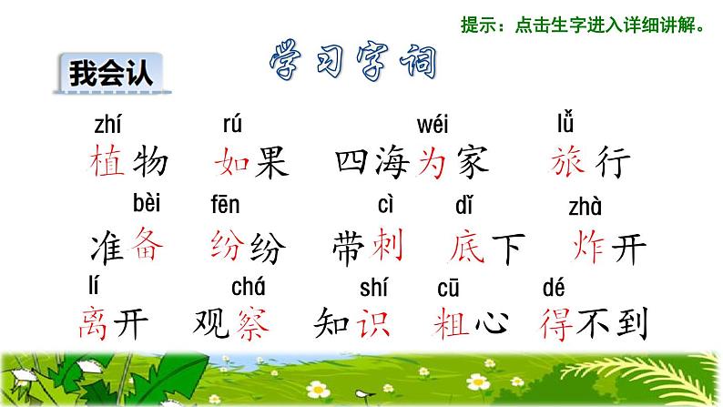 部编版二年级上册语文 3.植物妈妈有办法初读感知课件06