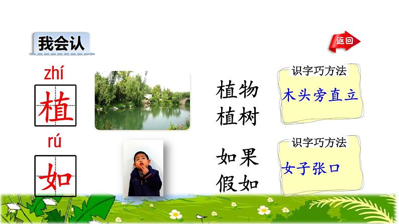 部编版二年级上册语文 3.植物妈妈有办法初读感知课件07