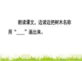 部编版二年级上册语文 2.树之歌品读释疑课件