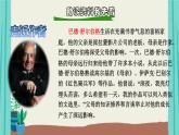 部编版语文五年级上册第6单元20精彩极了和糟糕透了课件
