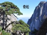 部编版二年级上册语文 第4单元 9  黄山奇石课前预习课件