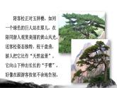 部编版二年级上册语文 第4单元 9  黄山奇石课前预习课件