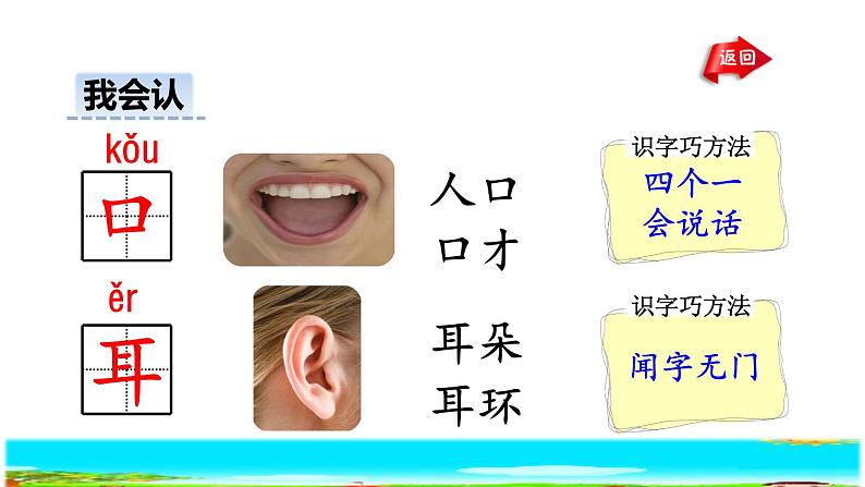 部编版一年级上册语文 第1单元 3.口耳目授课课件第5页