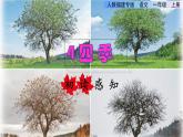 部编版一年级上册语文 第4单元 4.四季初读感知课件