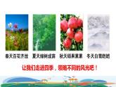 部编版一年级上册语文 第4单元 4.四季初读感知课件