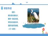 人教部编版五年级上册语文 语文 1白鹭 第一课时（人教部编版）【课件】
