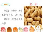 人教部编版五年级上册语文 《落花生》第一课时 课件