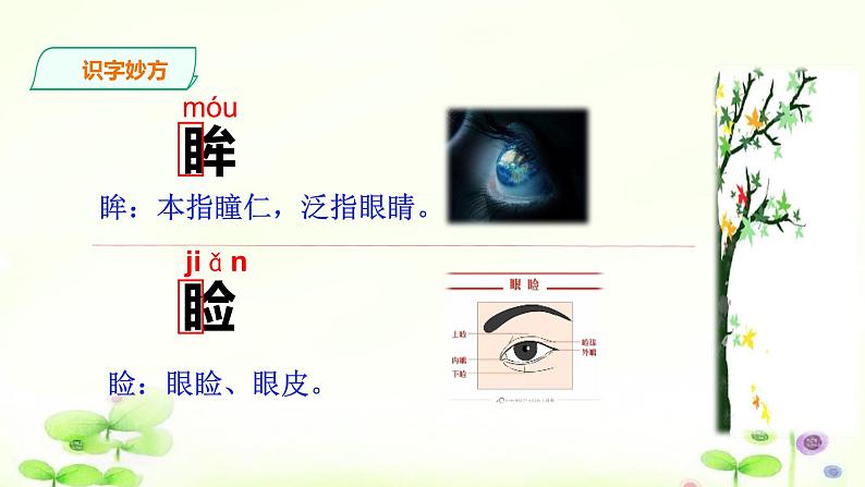 人教部编版五年级上册语文《珍珠鸟》课件第6页