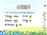部编三年级上册语文   3、不懂就要问习题课件 12张幻灯片