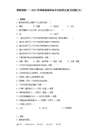 暑假预热——2021年河南省洛阳市小升初语文练习试题（九）