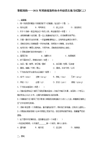暑假预热——2021年河南省洛阳市小升初语文练习试题（三）