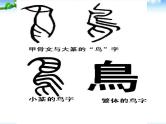 【小升初】语文总复习课件 - 汉字总复习 全国通用