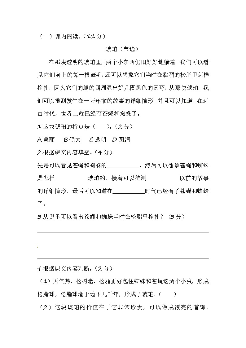 【优质】人教部编版 小升初语文初一新生入学分班考试B卷（含答案）第3页