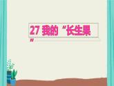 编版语文五年级上册第8单元27我的“长生果”课件