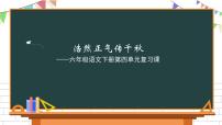 语文六年级下册第四单元单元综合与测试复习ppt课件