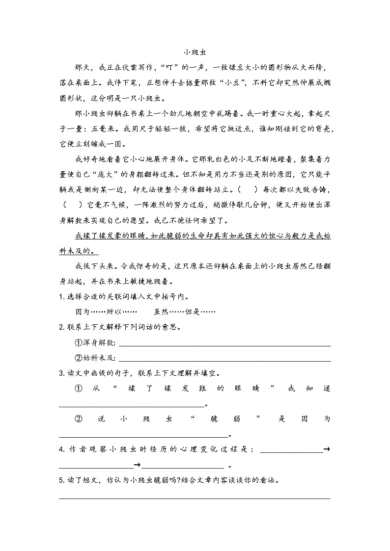 四年级上册语文试题：阅读理解专项训练10（含答案）全国通用学案01