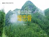 第四单元  10 青山处处埋忠骨2课件PPT