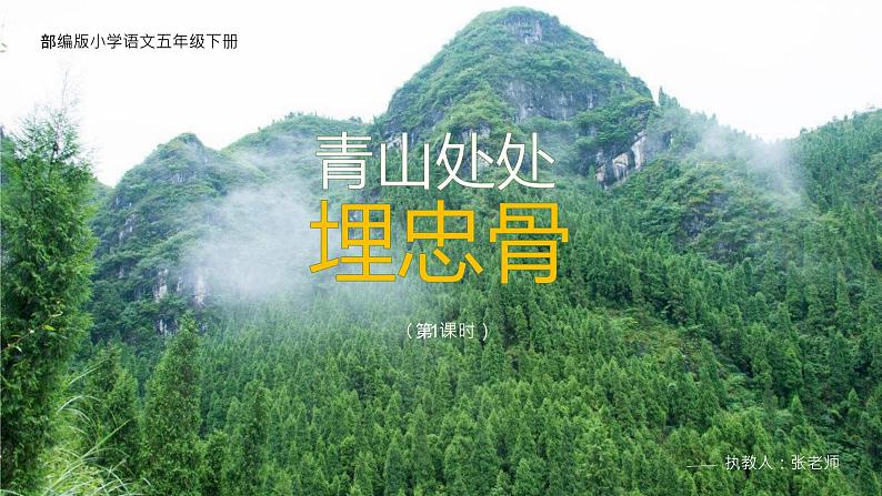 第四单元  10 青山处处埋忠骨2课件PPT01