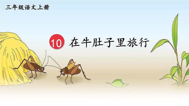 10 在牛肚子里旅行课件PPT第1页