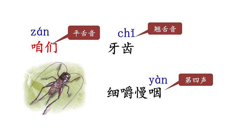 10 在牛肚子里旅行课件PPT第7页