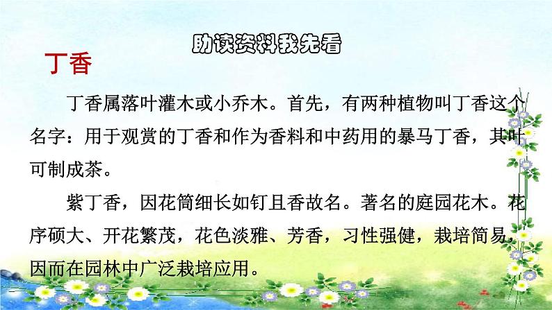 部编六年级上册语文  2.丁香结初读感知课件 31张幻灯片第2页