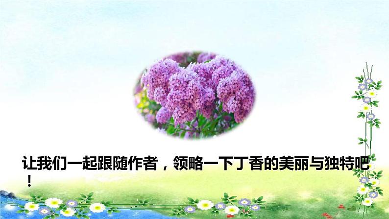 部编六年级上册语文  2.丁香结初读感知课件 31张幻灯片第3页