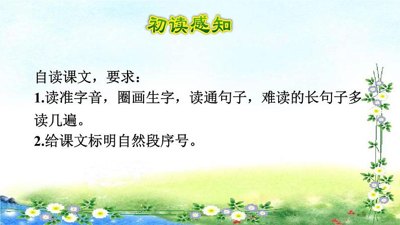 部编六年级上册语文  2.丁香结初读感知课件 31张幻灯片第4页