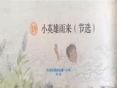 19.小英雄雨来课件PPT