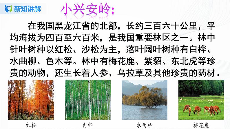 20.《美丽的小兴安岭》第一课时课件第7页