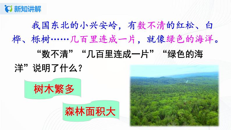 20.《美丽的小兴安岭》第二课时课件第4页