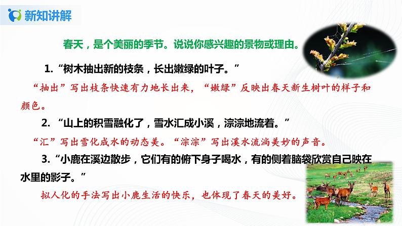 20.《美丽的小兴安岭》第二课时课件第5页