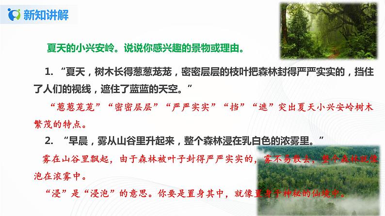 20.《美丽的小兴安岭》第二课时课件第6页