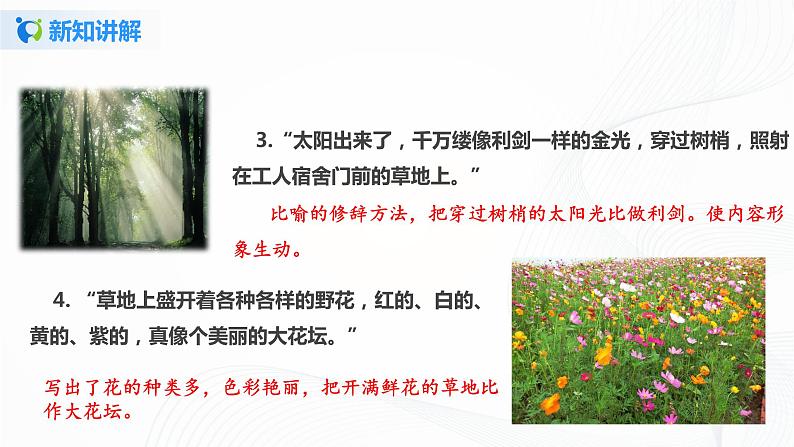 20.《美丽的小兴安岭》第二课时课件第7页