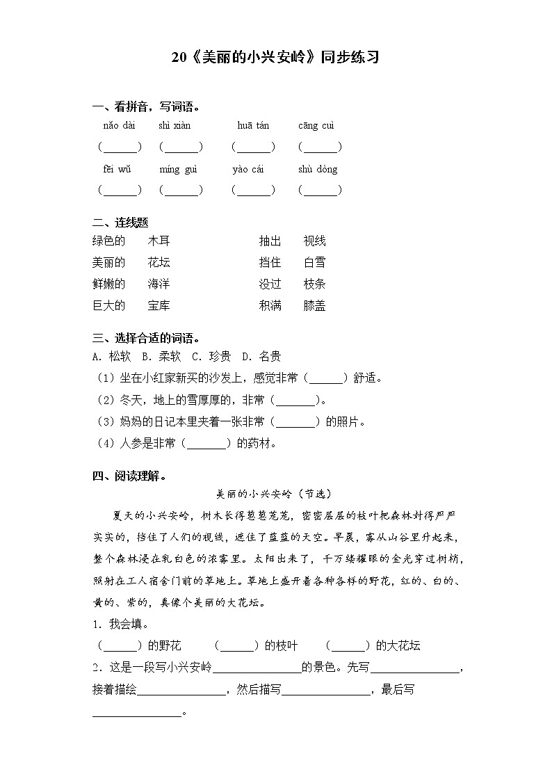 20《美丽的小兴安岭》同步练习（含答案）第1页