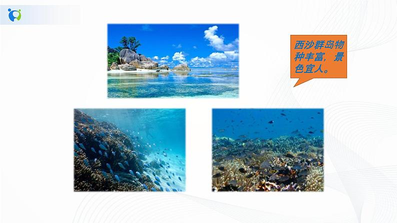 部编版语文三上18.《富饶的西沙群岛》（含课件、教案、同步练习）07