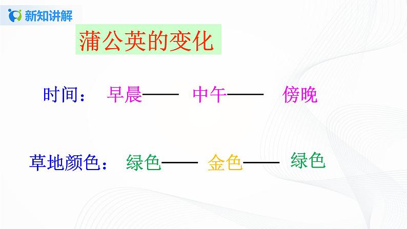 部编版语文三上16.《金色的草地》（含课件、教案、同步练习）08