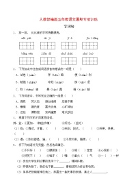 部编版五年级下册语文暑期基础专项提升-字词句13（含答案）练习题