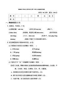 人教部编版六年级上册第八单元单元综合与测试精练