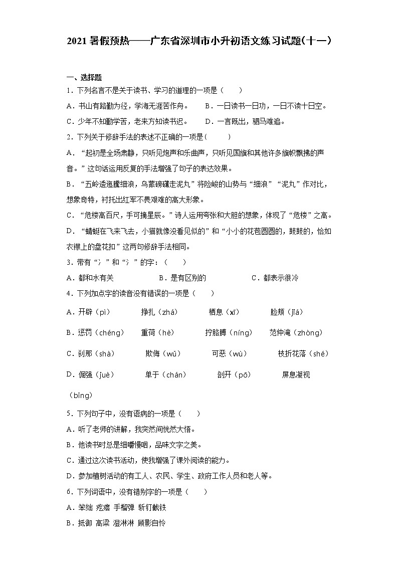 2021暑假预热——广东省深圳市小升初语文练习试题（十一）第1页