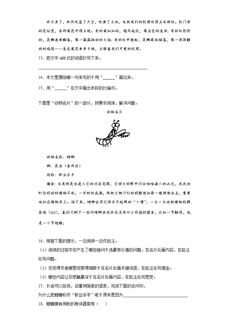 2021暑假预热——广东省深圳市小升初语文练习试题（八）第3页