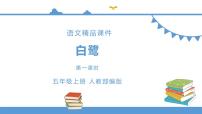 小学1 白鹭图片课件ppt