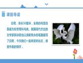 人教部编版五年级小学语文上册1《白鹭》 课件教案试卷