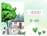 人教部编版五年级小学语文上册3《桂花雨》 课件教案试卷