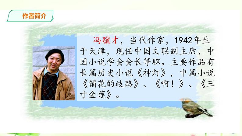 4《珍珠鸟》课件第3页