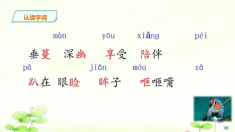 4《珍珠鸟》课件第4页