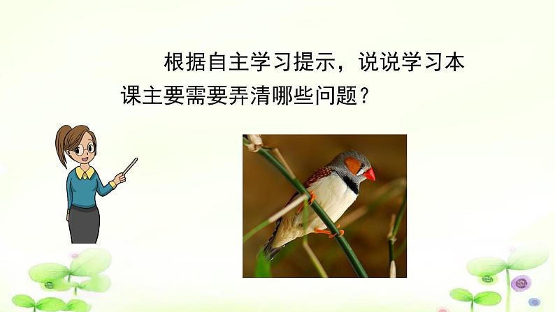 4《珍珠鸟》课件第8页