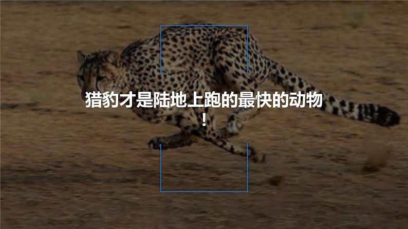 人教部编版五年级小学语文上册7《什么比猎豹的速度更快》 课件教案试卷07