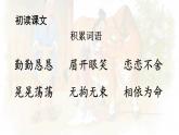 人教部编版五年级小学语文上册10《牛郎织女一》 课件教案试卷