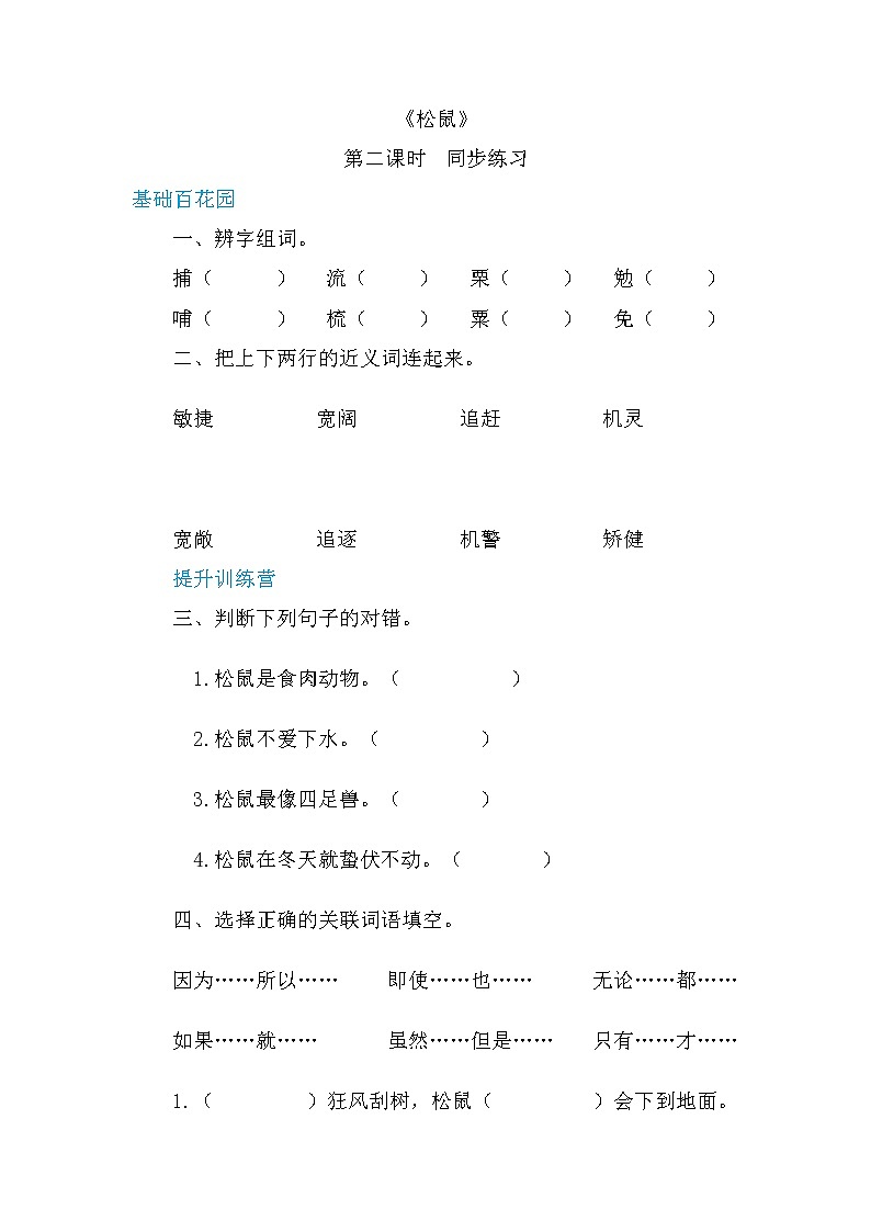 人教部编版五年级小学语文上册17《松鼠》 教案试卷01