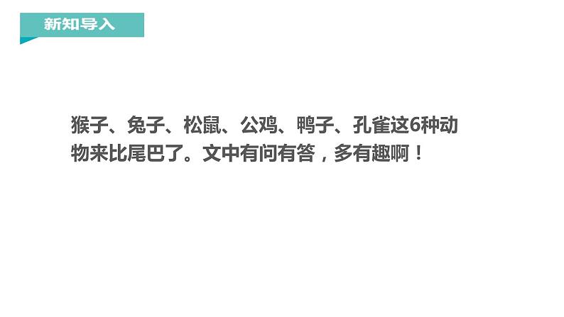 部编版一年级语文上册《比尾巴》PPT教学课件 (4)第2页